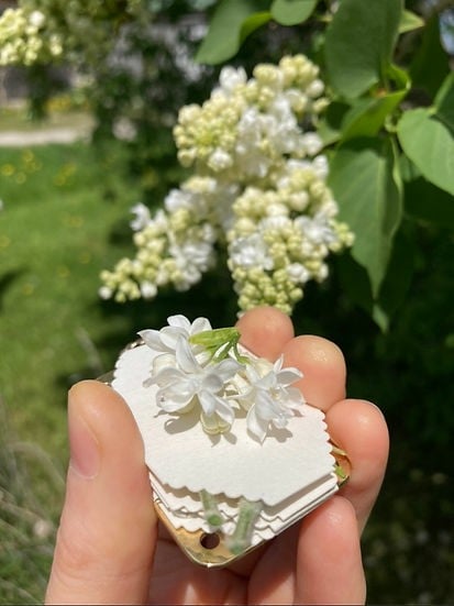 The Pocket Press: Mini Metal Flower Press | Botanical Keepsake Maker